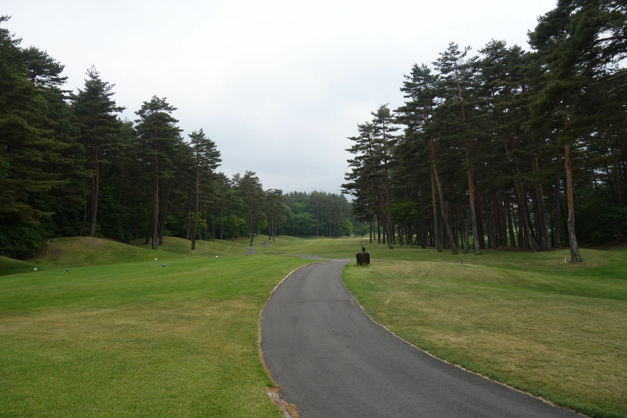 Kishutetsudo Karuizawa Hotel Цумагои Экстерьер фото